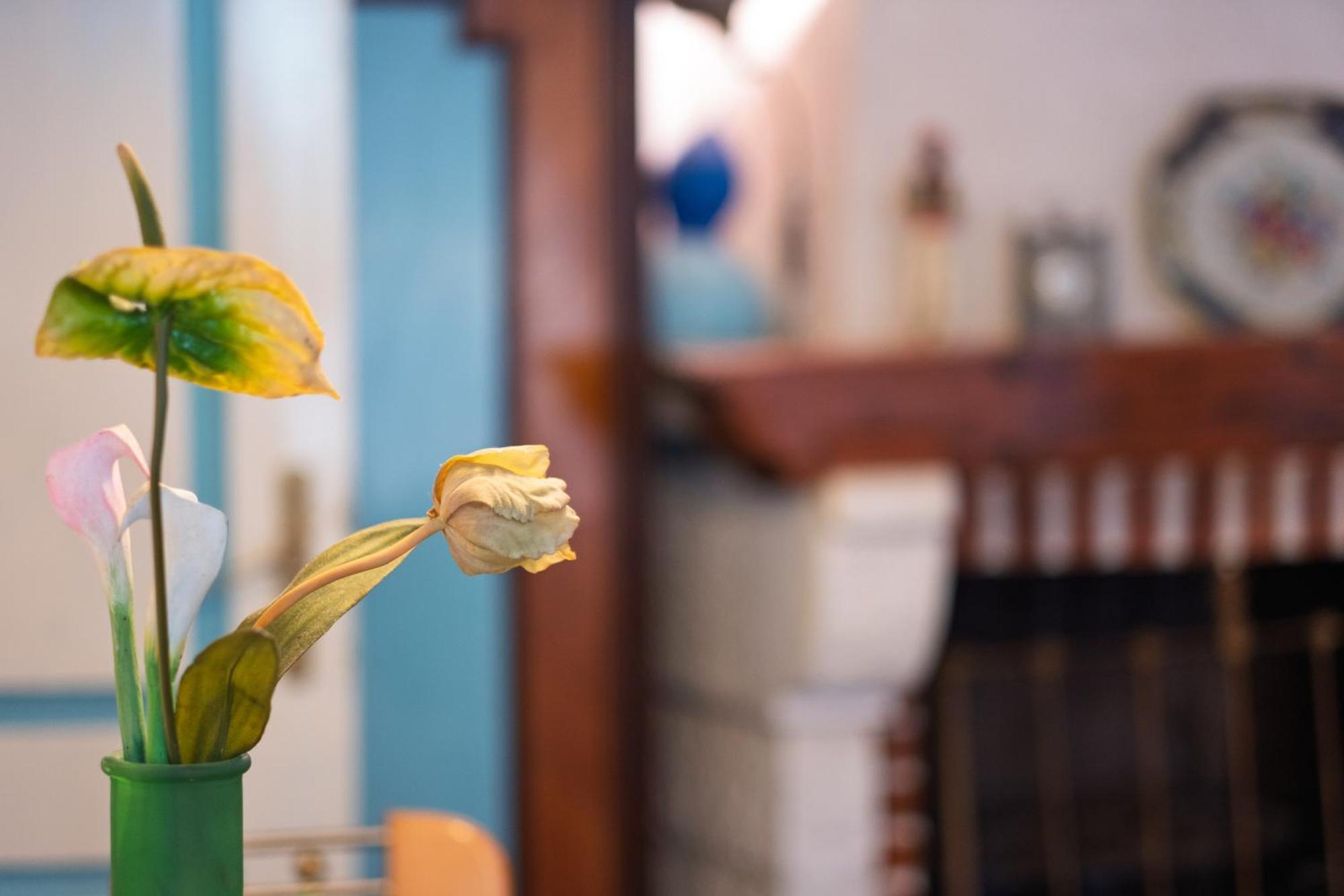 Bluemarine Rooms & Apartments Пераст Екстериор снимка